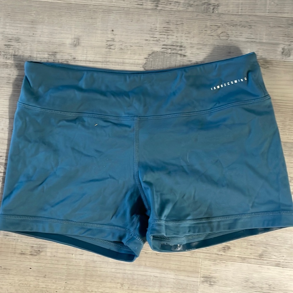 Workout shorts, IAB. 3 “ inseam size 8 Medium